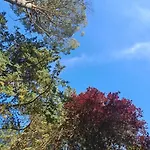 Tiberina - Locazione Turistica Dom wakacyjny *