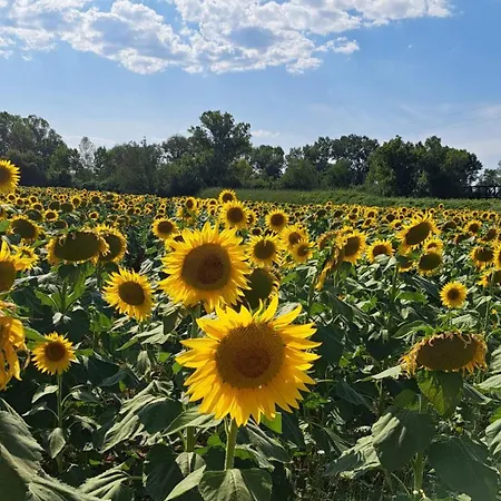 Сasa de vacaciones Tiberina - Locazione Turistica