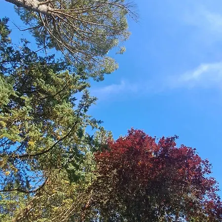 Tiberina - Locazione Turistica Prázdninový dům *